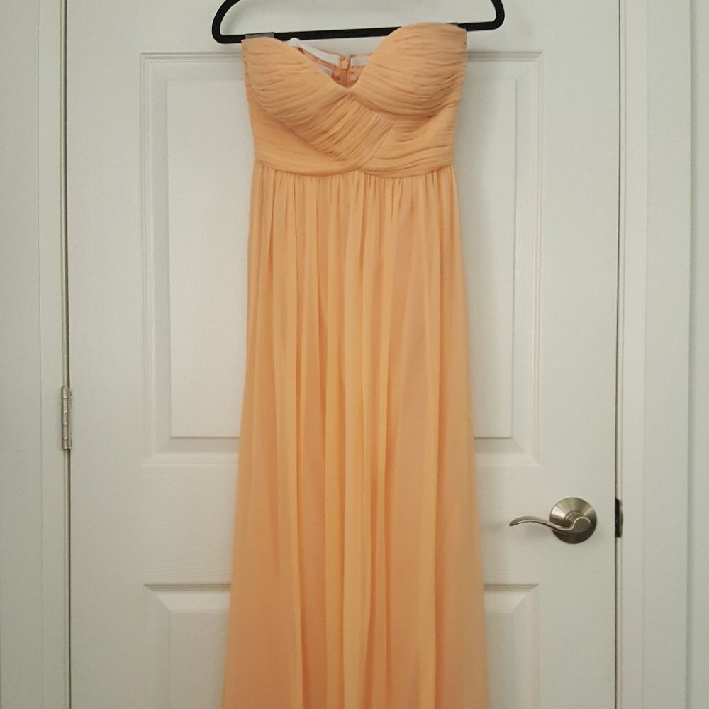 Bridesmaid Dress/Evening Gown – Donna Morgan